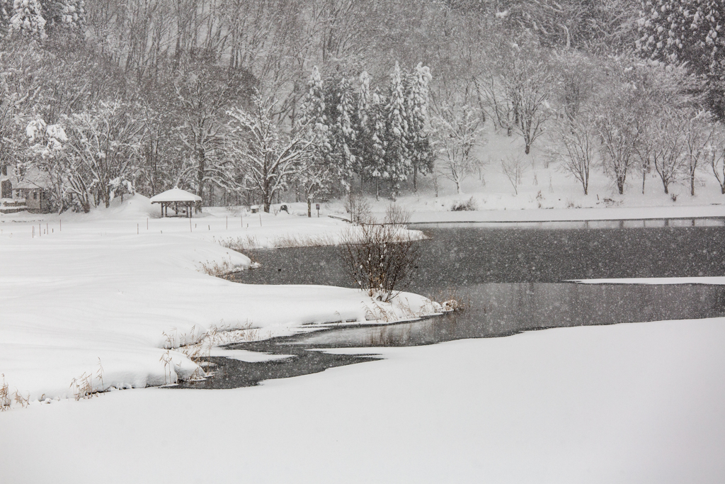 雪降る湖畔