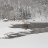 雪降る湖畔