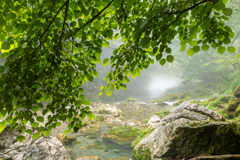 川の流れる先
