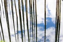 湖面の空