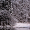 湖畔の雪景色