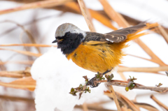 少しは乾いたかな