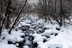 渓流雪化粧