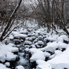 渓流雪化粧