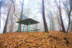丘の上にある公園