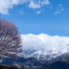 残雪のアルプスを背に