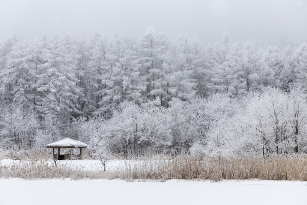 静寂の冬の湖畔