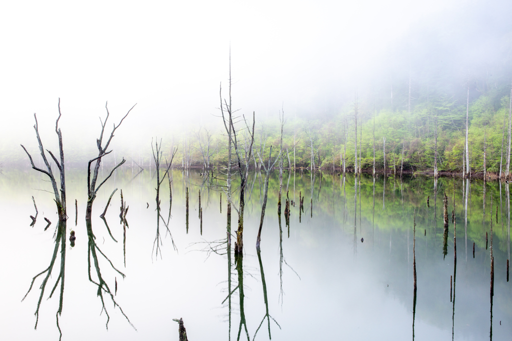雨が上がりの湖