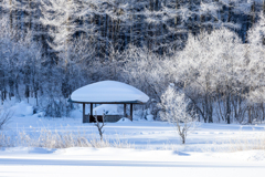 おとぎの国の雪景色