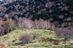 高原　冬へと