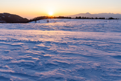紅指す雪原