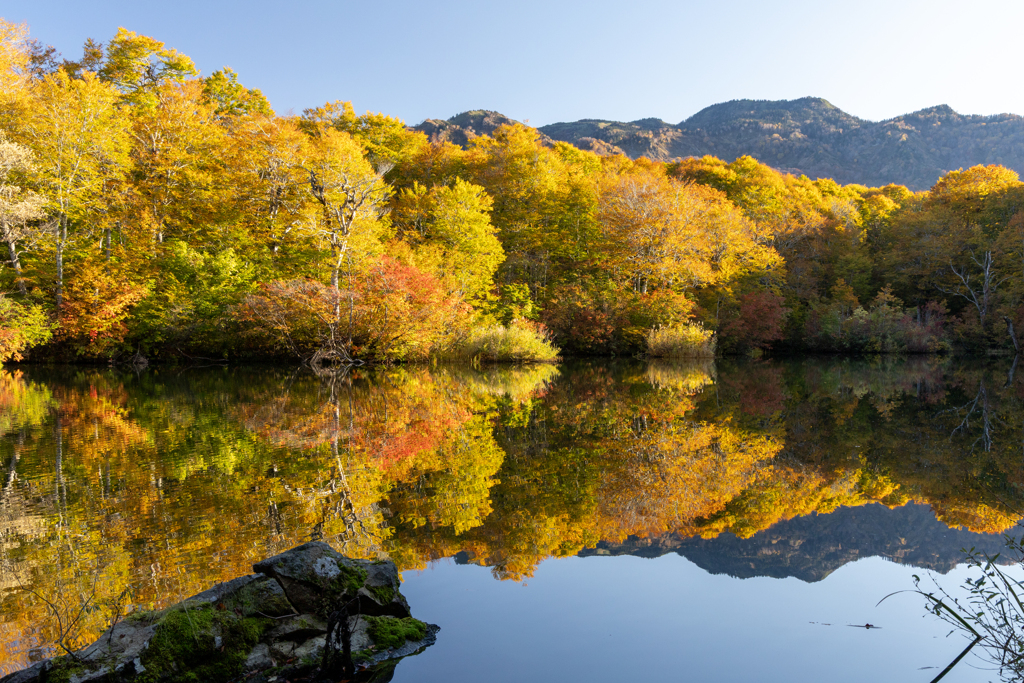 爽やかな秋の景