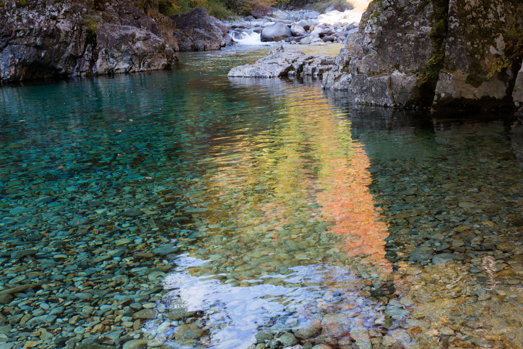 水面の虹