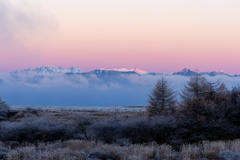 ビーナスが舞い降りる刻
