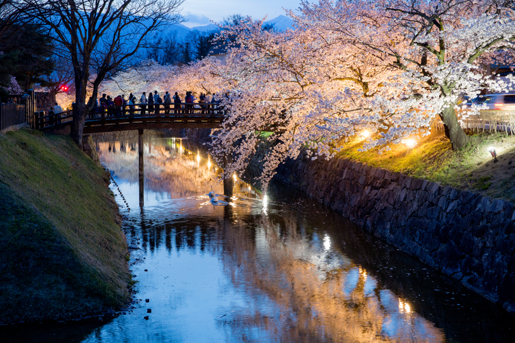 お堀飾られる夜