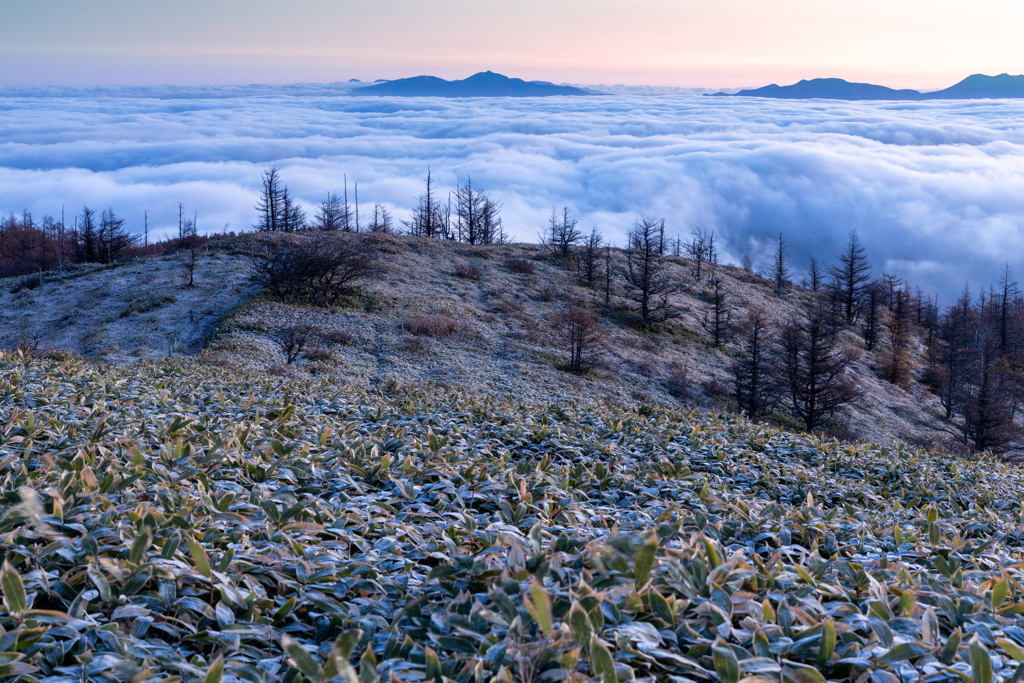 初冬の高原の向こう側