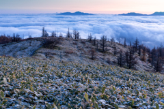 初冬の高原の向こう側
