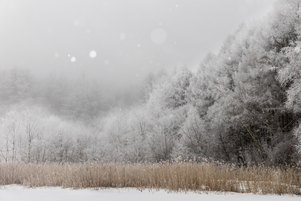 雪降る湖畔