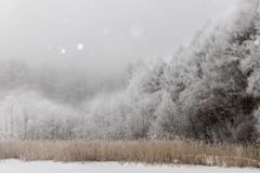 雪降る湖畔