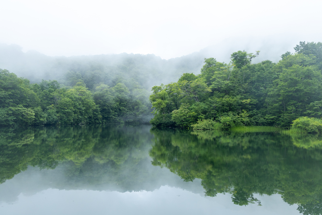 湖つゆの頃