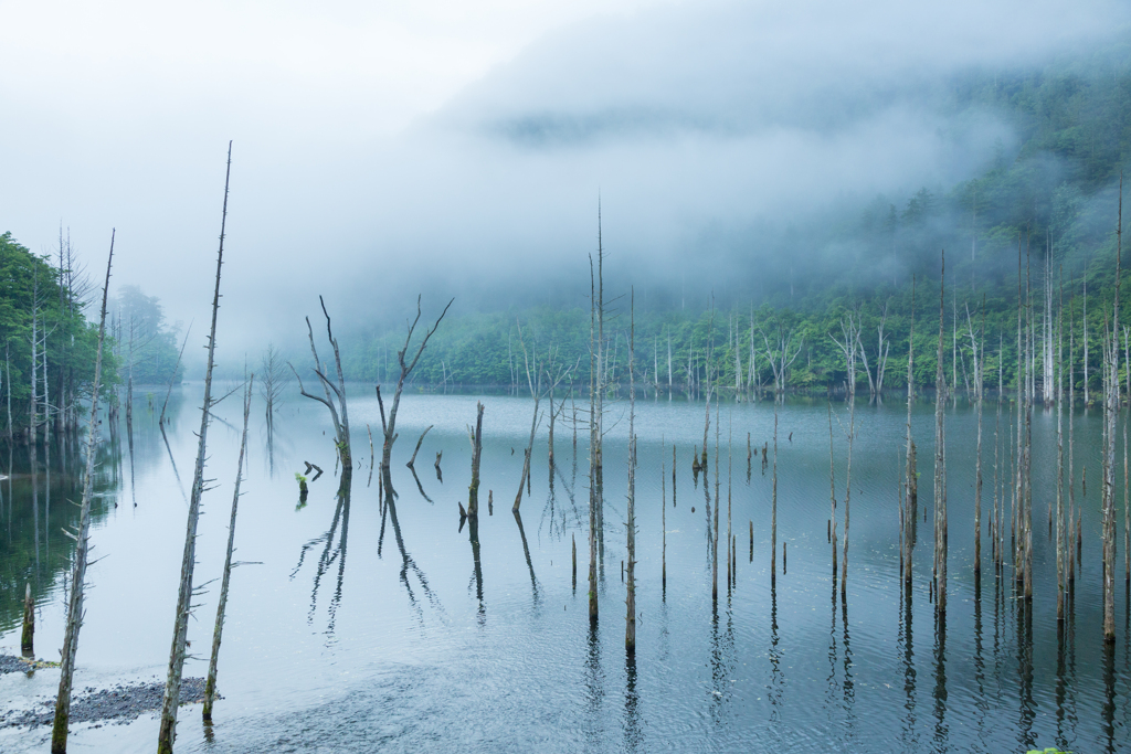自然湖梅雨の頃