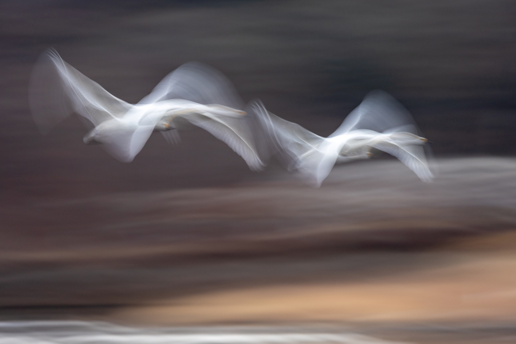 スムーズな描写の舞