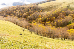秋色の高原