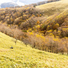 秋色の高原