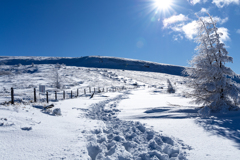雪山日和