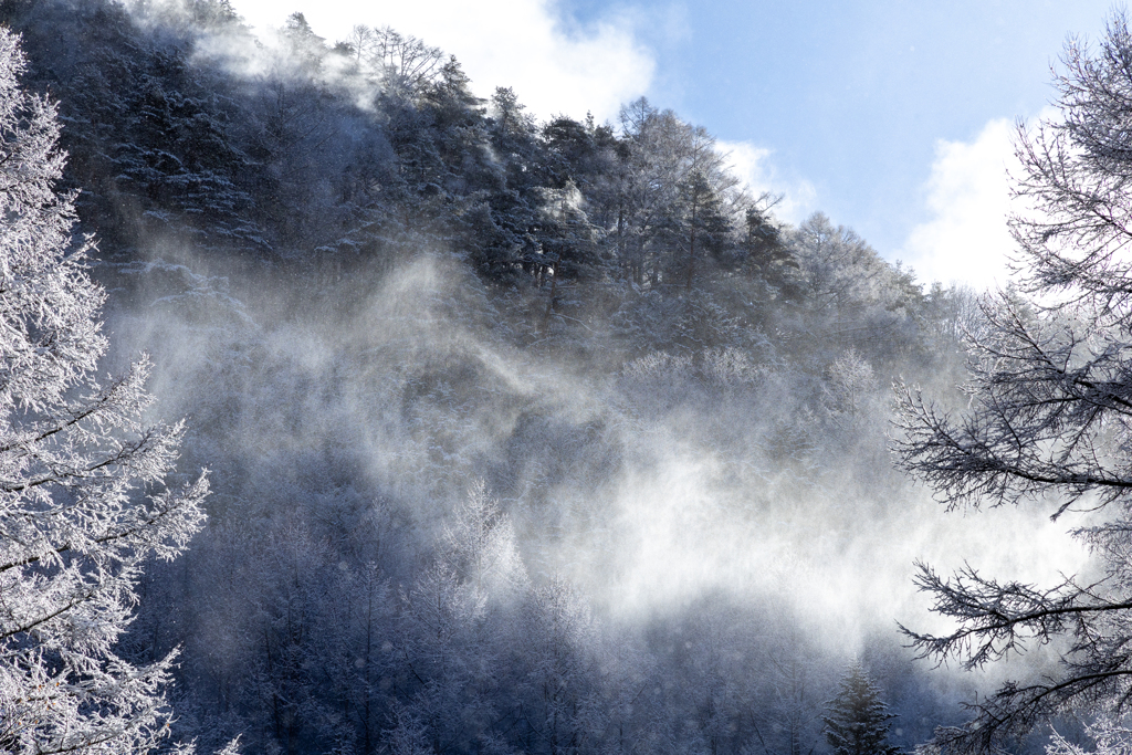 粉雪舞う