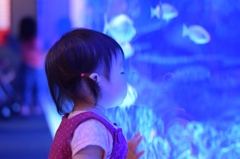 水族館