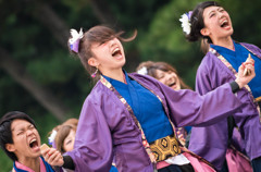 京都学生祭典　２０１５　①