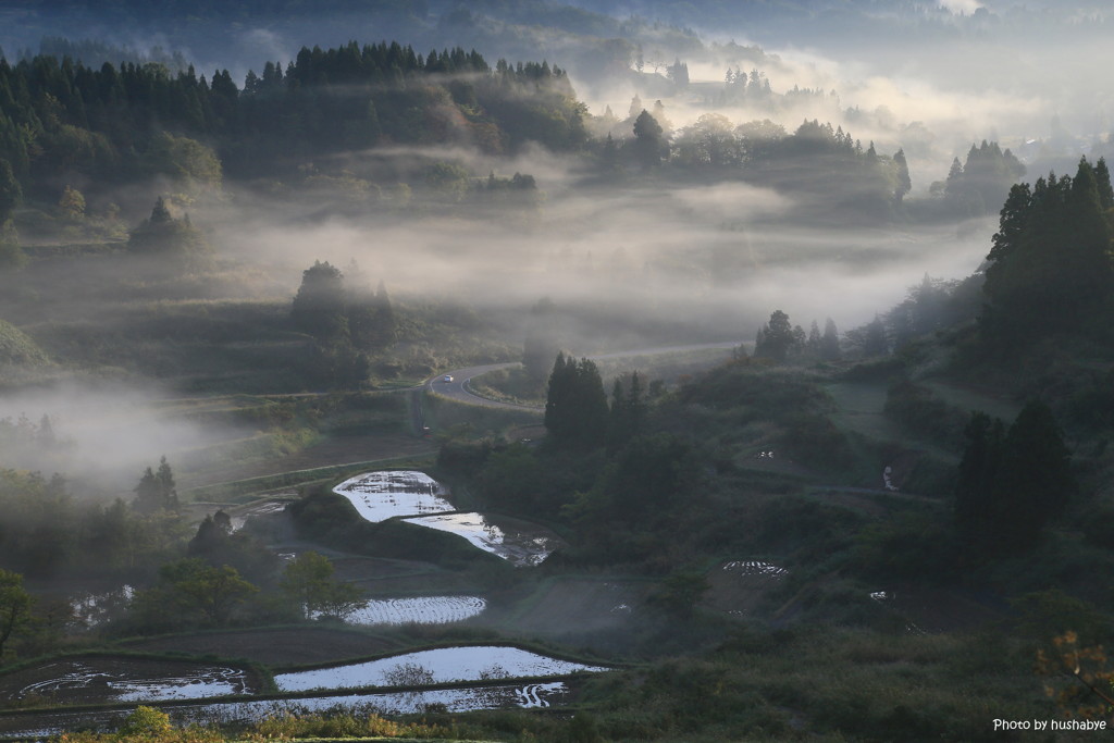 朝の風景