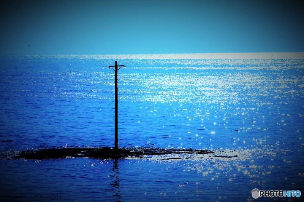LAST SUMMER