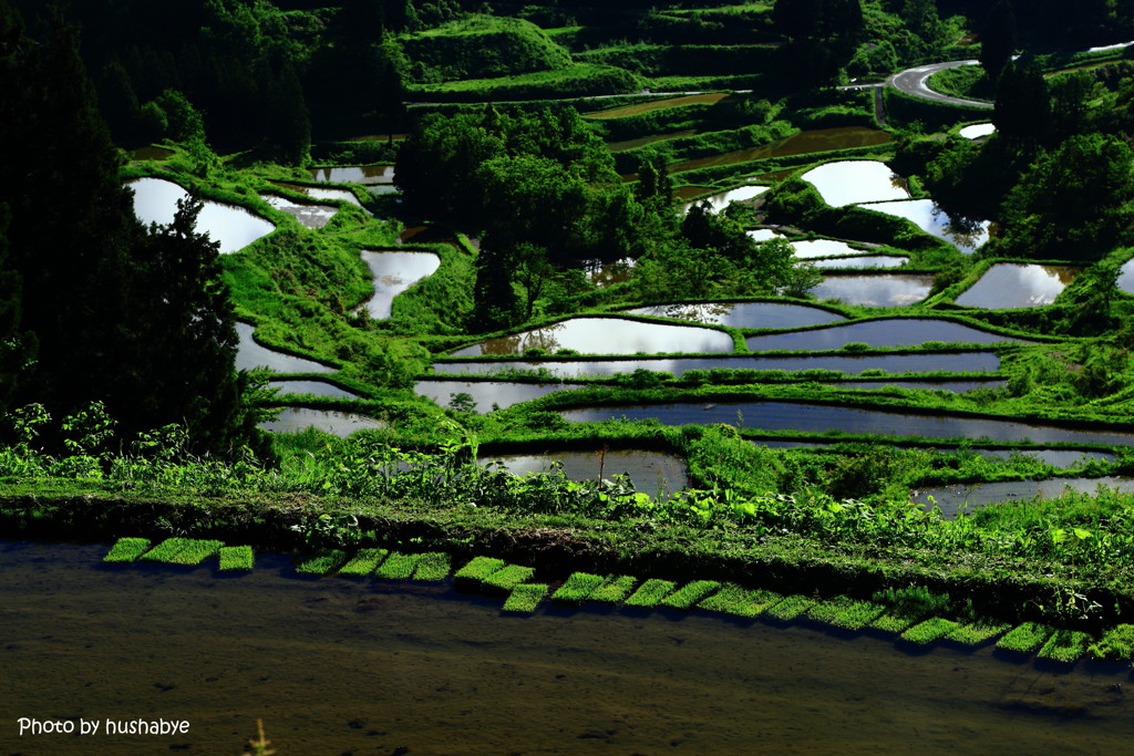 田植え待つ棚田