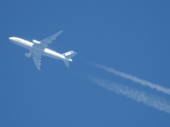 飛行機