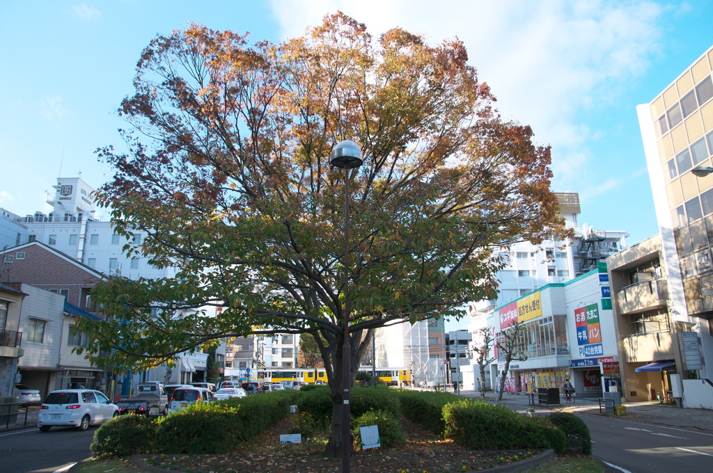 音羽町駅〜春日町駅