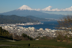 日本平・富士山