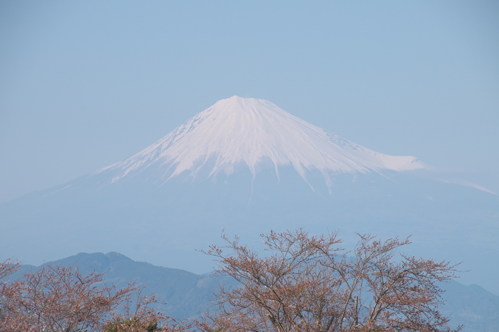 日本平・富士山