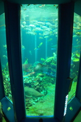 東海大学海洋科学博物館