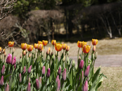 湧永満之記念庭園 