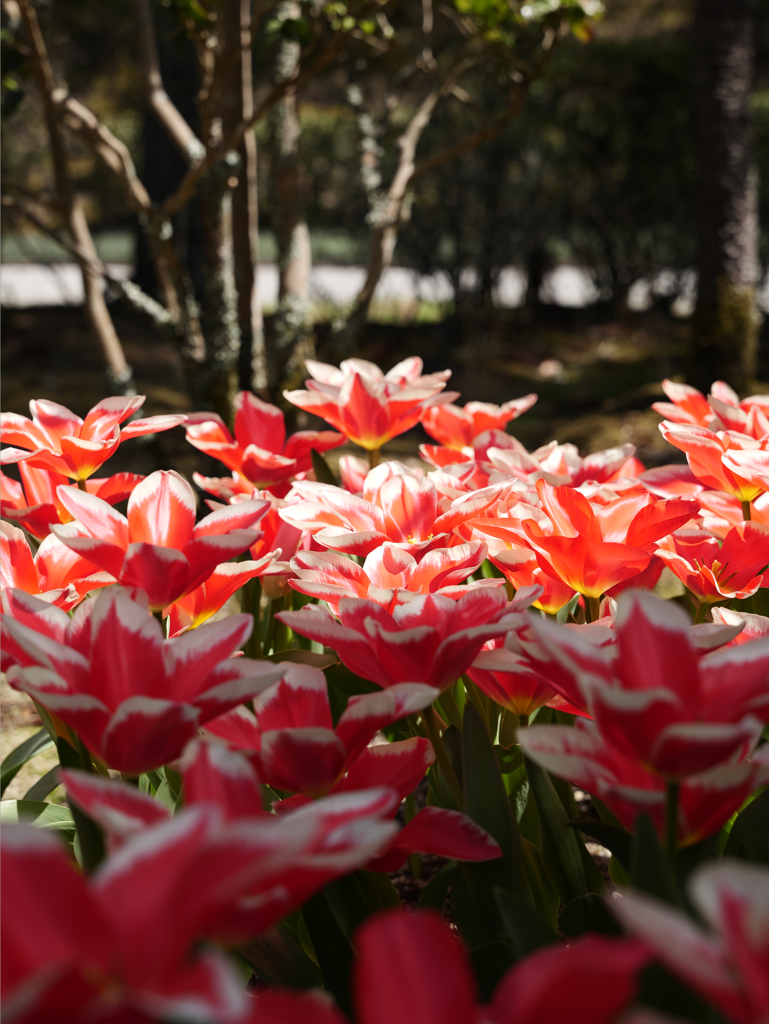 湧永満之記念庭園