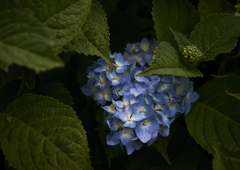 DSC01932