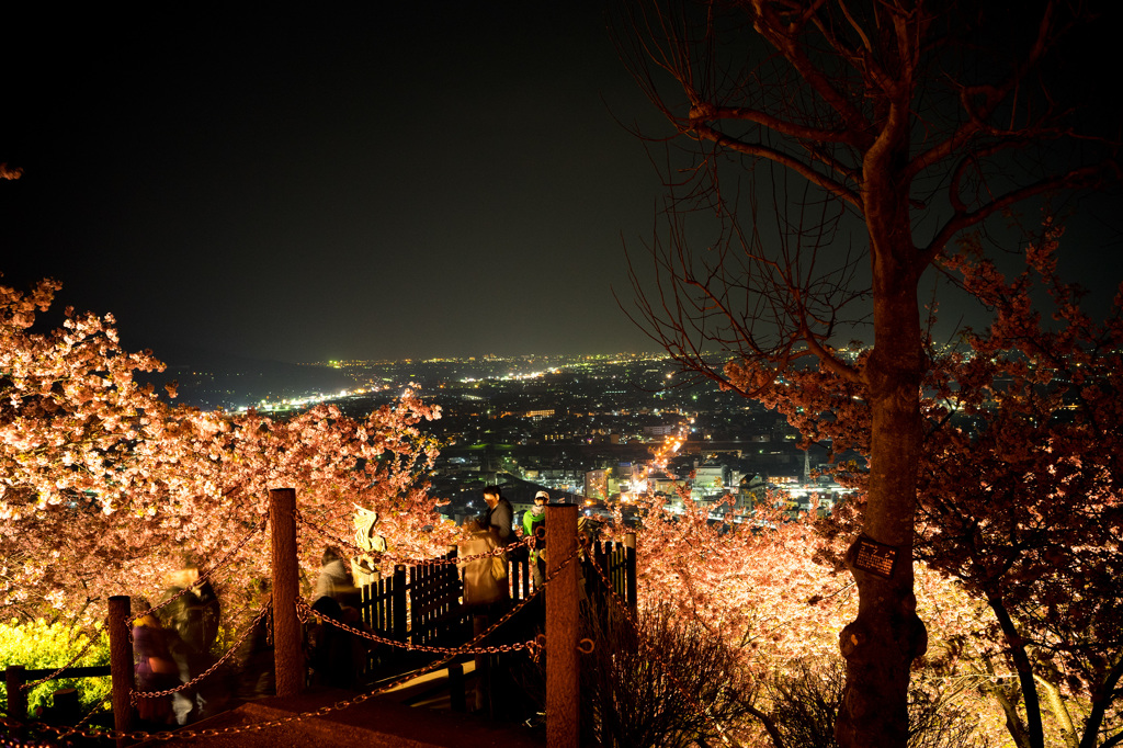天空の夜桜