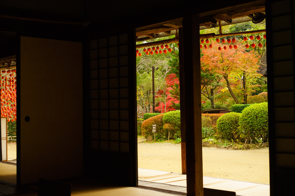 秋色風景