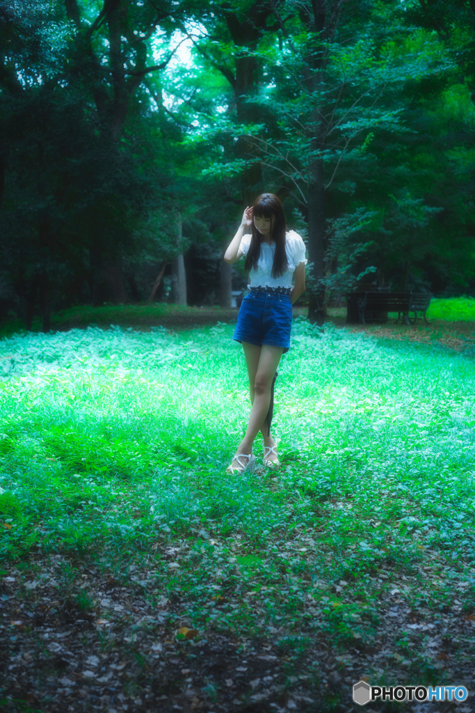 Forest
