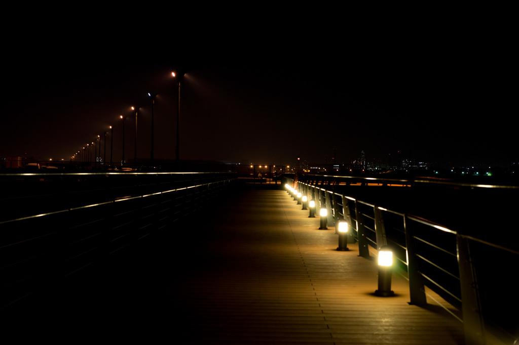 東扇島の夜景①