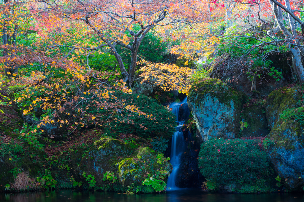紅葉と滝