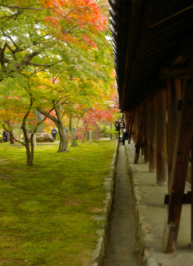 京都の紅葉
