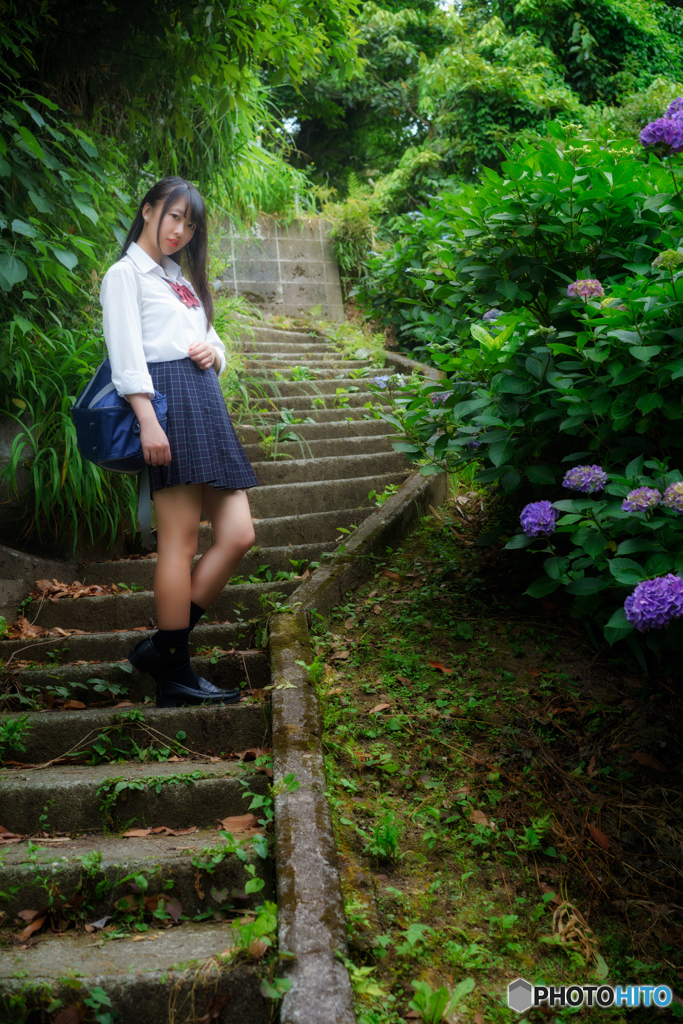 紫陽花道